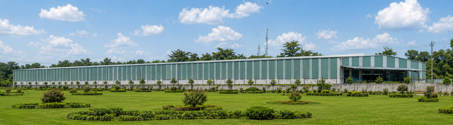 Golden Camp — Tatisilwai